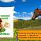 Конский навоз — “черное золото” для огорода и сада
