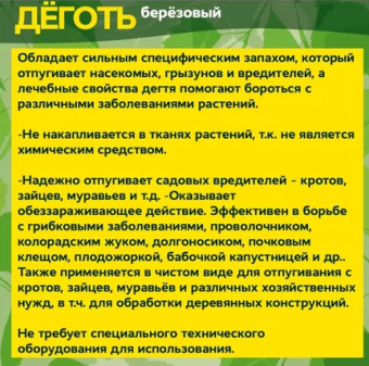 Деготь березовый 100мл 130 — копия