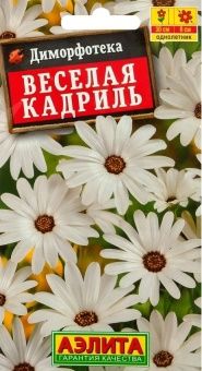 00035543_Диморфотека Веселая кадриль (Аэлита)