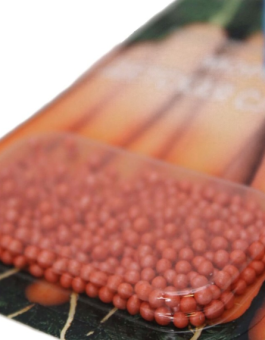 00001808_Морковь ГРАНУЛЫ Королева осени 300шт (Агрико) (3)