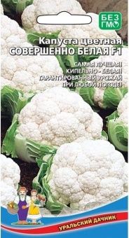 00041229 _Капуста цветная Совершенно Белая F1  (УД