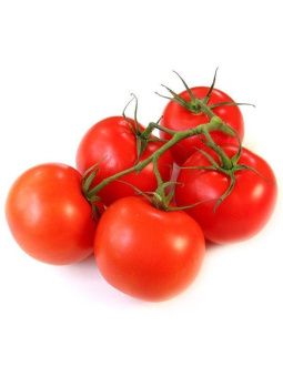 00016425_Томат Никола Б П (УД)