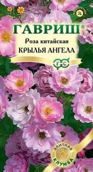 00000151_Роза Крылья ангела (Гавриш) 1_1000