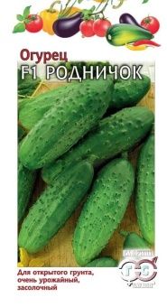 00008492_Огурец Родничок (Гавриш) 1800