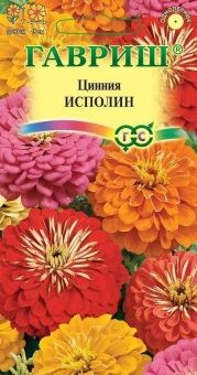 00011648_Цинния Исполин смесь (Гавриш) 1800