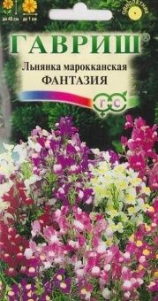 00012605_Льнянка Фантазия марроканская (Гавриш) 1_