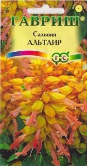 00012613_Сальвия Альтаир карликовая (Гавриш) 1_100