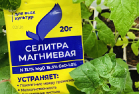 Какими концентрациями удобрительных растворов можно опрыскивать растения и/или поливать их под корень? Какими концентрациями удобрительных растворов можно опрыскивать растения и/или поливать их под корень?