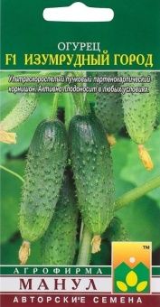 00013729_Огурец Изумрудный Город (Манул)
