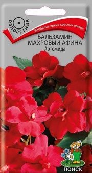 00021325_Бальзамин Афина Артемида махровый 5шт(ПОИ