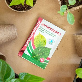 ЦБ-00007661_Антихлороз 5г  (БМ) 3