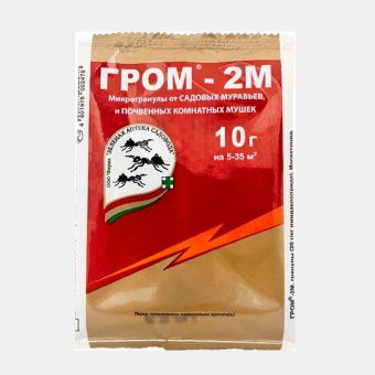 ЦБ-00019160_Гром 2М 10г (ЗА)