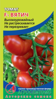 00032309_Томат Вятич (Агросемтомс)
