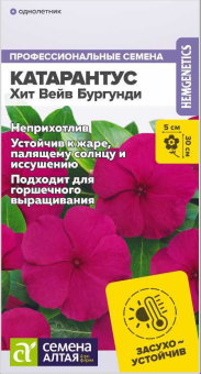 Снимок