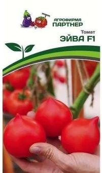 Снимок экрана 2023-01-25 165826