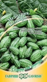 00014036_Мелотрия Колибри (Мини-арбуз) (Гавриш)