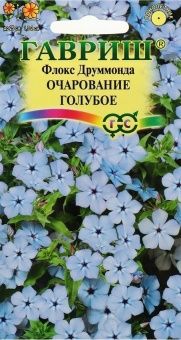 00001178_Флокс Очарование голубое друммонда  (Гавр