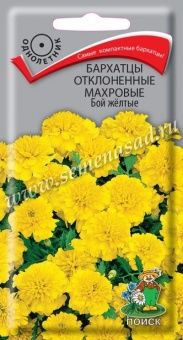 00041046_Бархатцы Бой жёлтые отклоненные махровые 