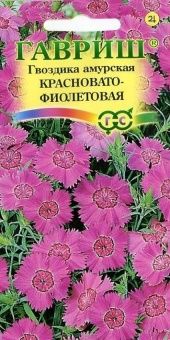 00007789_Гвоздика амурская Красновато-фиолетовая (