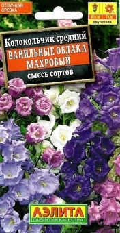 00012377_Колокольчик Ванильные облака махровый (Аэ