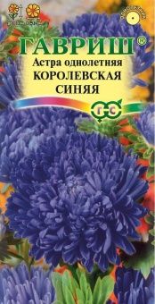 00010381_Астра Королевская синяя (Гавриш)