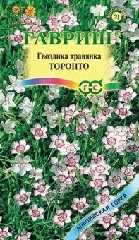 00012560_Гвоздика травянка Торонто (Гавриш) 11000