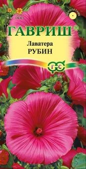 00007911_Лаватера Рубин (Гавриш) 1600