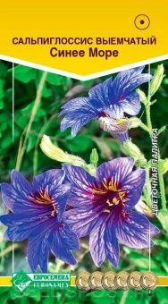 00041673_Сальпиглоссис Синее море 0,02 г (ЕС)