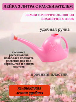 Лейка 3л с рассеивателем (Радиан) 120