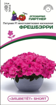 Снимок