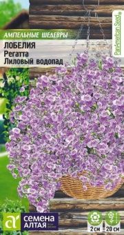 00036524_Лобелия Регатта Лиловый водопад ампельная