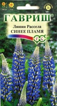 00007811_Люпин Рассела Синее пламя (Гавриш)