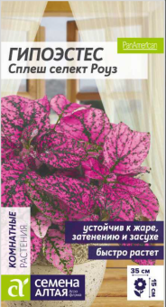 Снимок