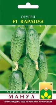00013730_Огурец Карапуз (Манул)