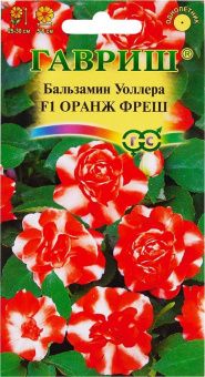 00002815_Бальзамин Уоллера Оранж фреш махровый (Га