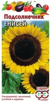 00008549_Подсолнечник Енисей (Гавриш) 1_400