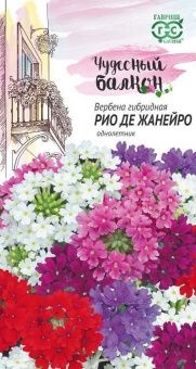 00007857_Вербена Рио де Жанейро низкая (Гавриш)