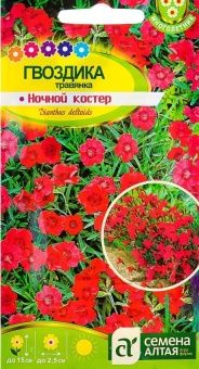 00034168_Гвоздика Ночной костер травянка (Сем Алт)