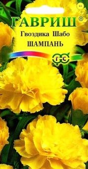 00007712_Гвоздика шабо Шампань (Гавриш)