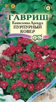 00015826_Камнеломка Арендса Пурпурный ковер (Гаври