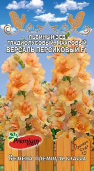 8mbstnbtwedqa69r5ra1qzkywf58ae37