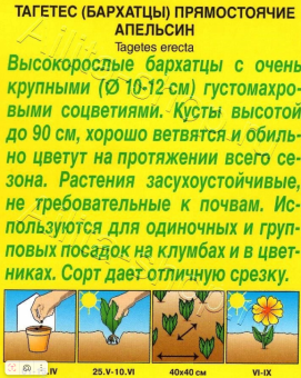 Бархатцы Апельсин прямостоячие (Аэлита) (2)