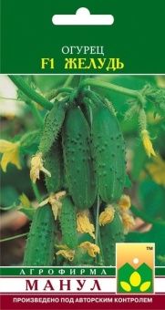 00023348_Огурец Желудь (Манул)