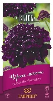 00017764_Скабиоза пурпурная Черное манто серия Блэ