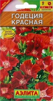 00022898_Годеция красная (Аэлита)
