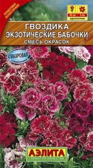 00012346_Гвоздика Экзотические Бабочки смесь (Аэли