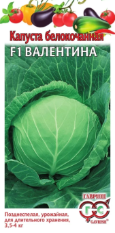00015845_Капуста бк Валентина (Гавриш)