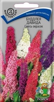 00021335_Буддлея Давида смесь окрасок10шт (ПОИСК)