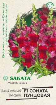 00040874_Львиный зев Соната пунцовая 10 шт Саката 