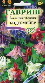 00007758_Аквилегия Бидермейер (Гавриш)